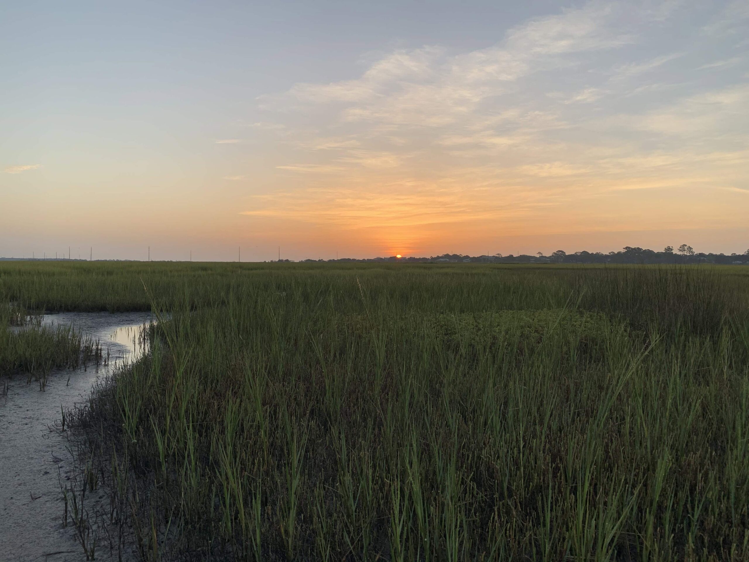 The sun is setting over the marsh in St. Simon Island. The sky is a bright yellow and orange as the sun goes beyond the horizon.