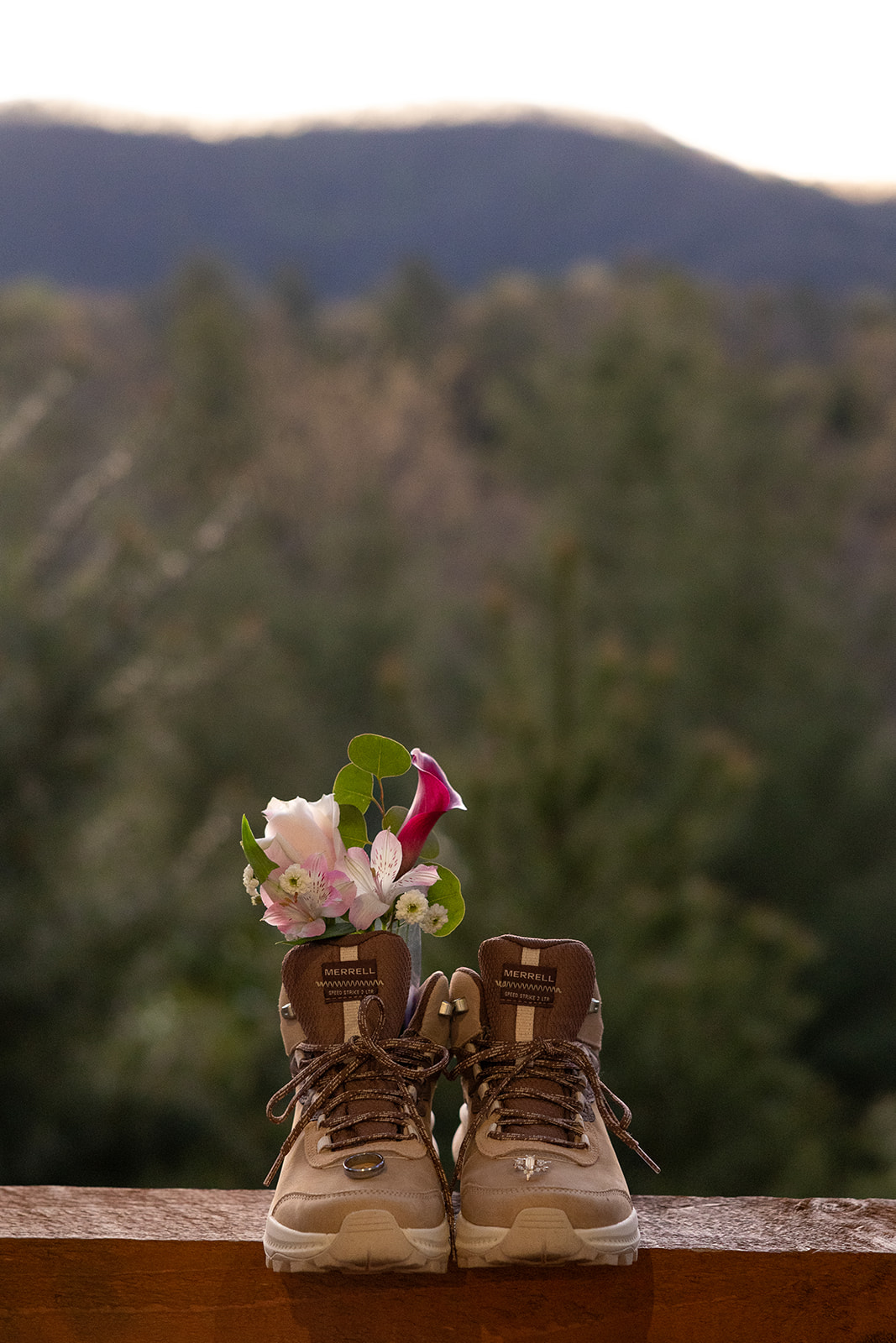 hiking boots and flowers sit on a rail with the mountains stretching behind them