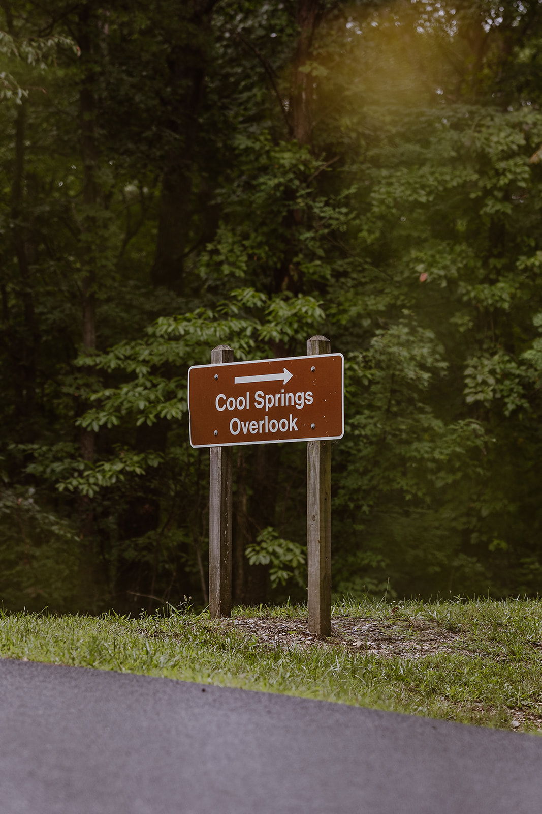 overlook sign stands against the green forest 