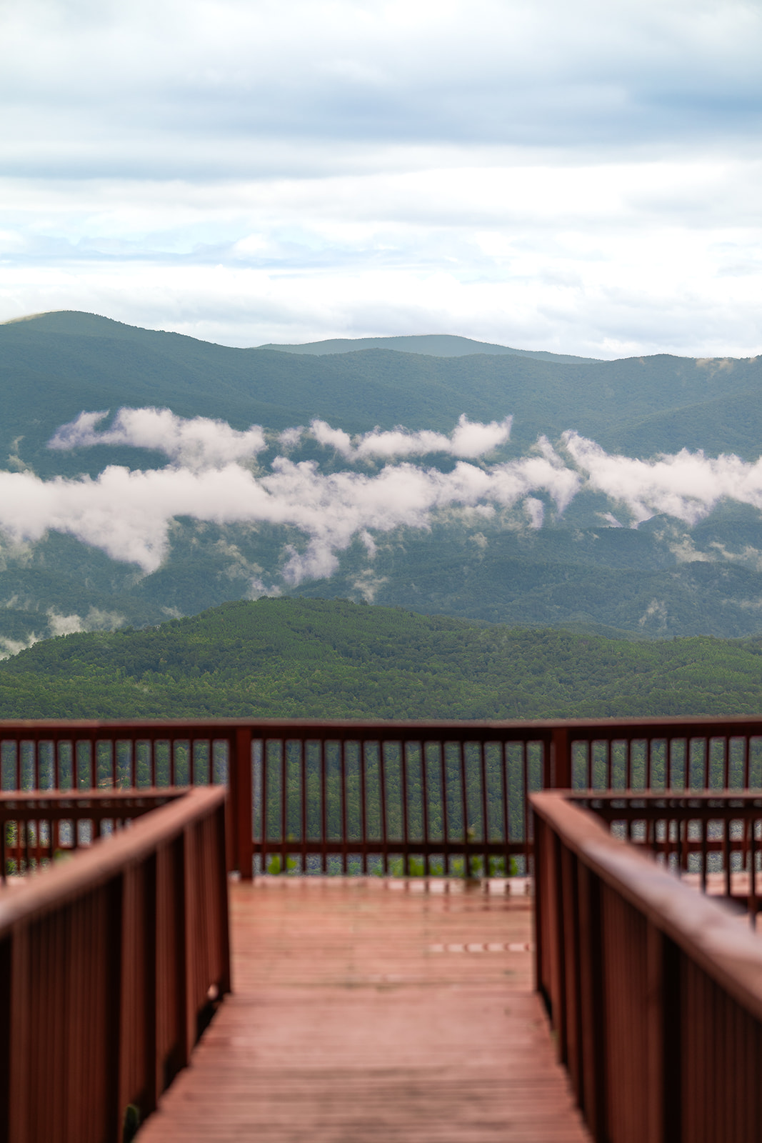 mountains stretching behind the patio