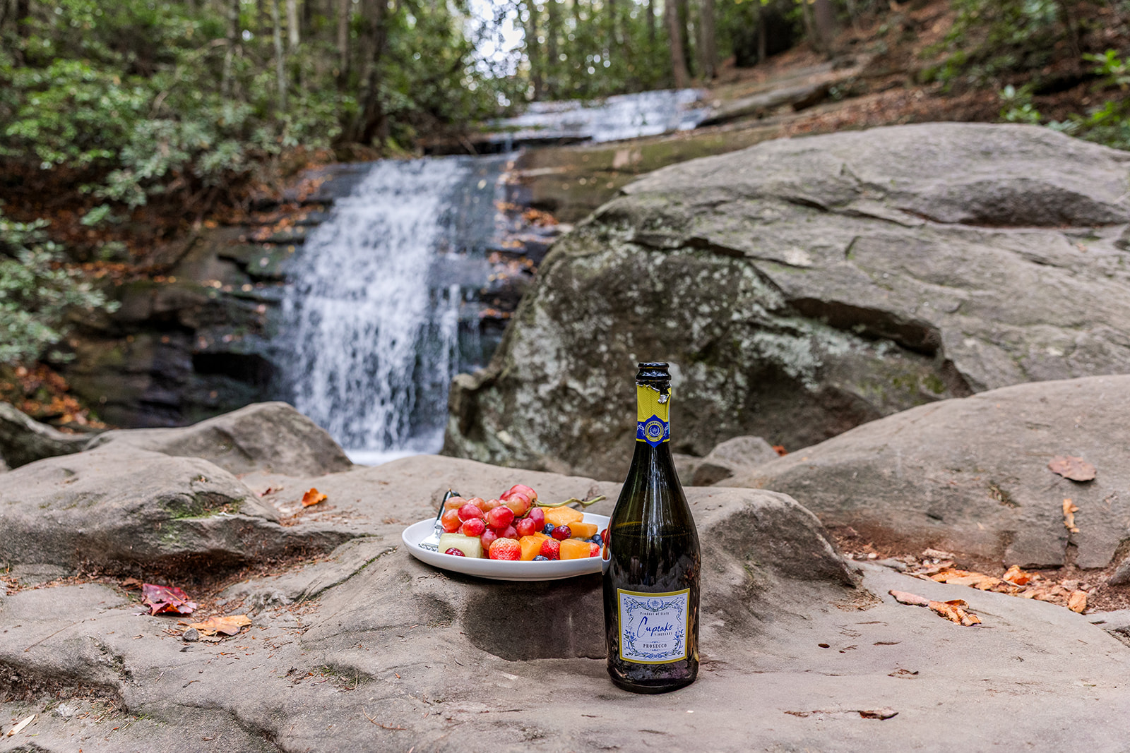 champagne and fruit sit ready for the snack during the stunning waterfall elopement